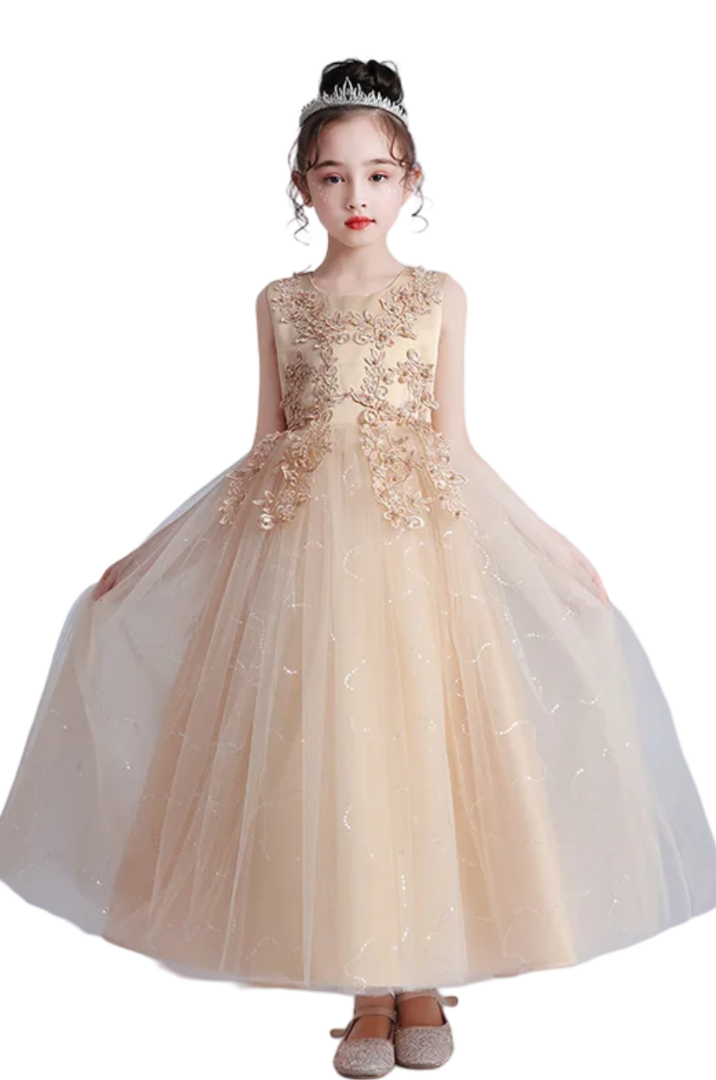 Robe Demoiselle d'Honneur Fille Princesse